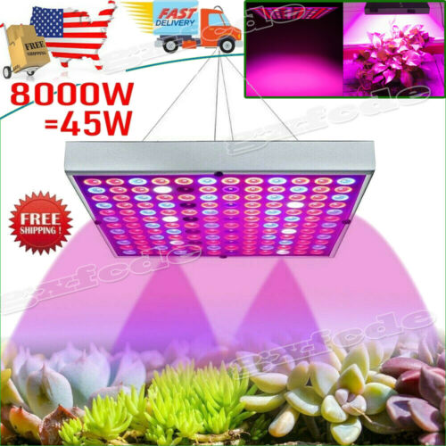 8000W LED Grow Light Full Spectrum Indoor Hydroponic Veg Flower Plant Lamp Panel