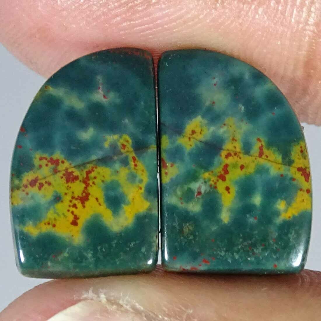 15.20Cts Natural Bloodstone Fancy Pair Cabochon Loose Gemstone