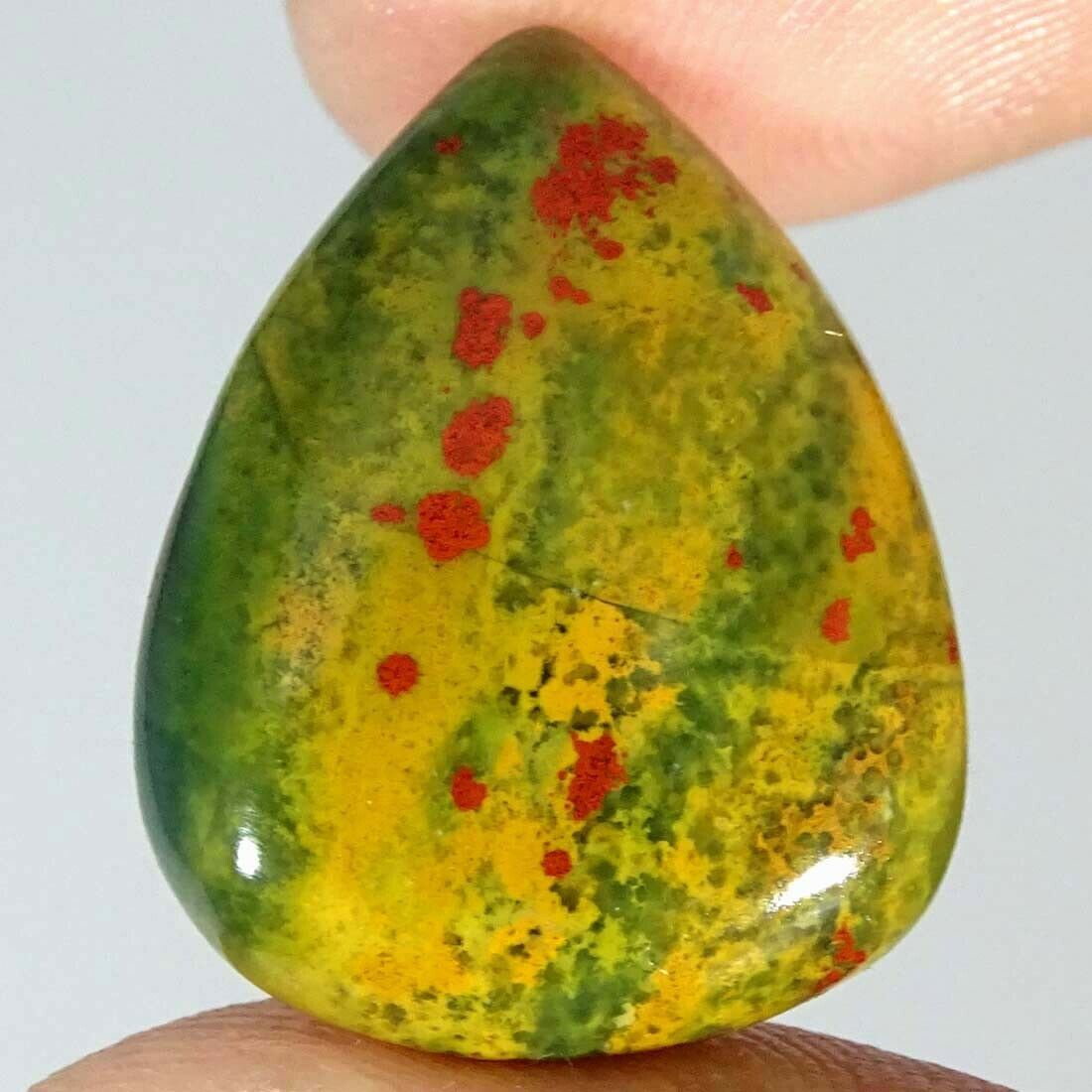 18.80Cts Natural Bloodstone Pear Cabochon Loose Gemstone